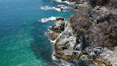 Expertos: corales mexicanos enfrentan muerte masiva por aumento en la temperatura del agua