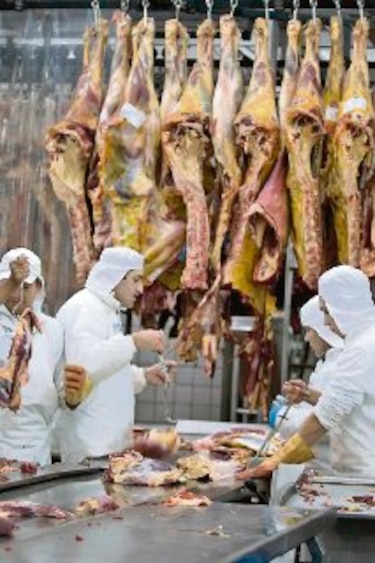 Producción de carne en Argentina sube 13.2%