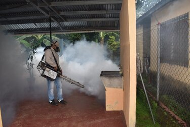 Panamá registra más de 30 mil casos y 50 defunciones a causa del dengue