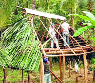 Piden plan de vivienda para evitar deforestación