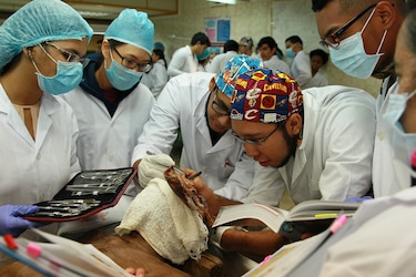 Egresados de medicina en universidades privadas fracasan en la certificación básica