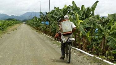 Gobierno pacta contrato ley con la multinacional Del Monte