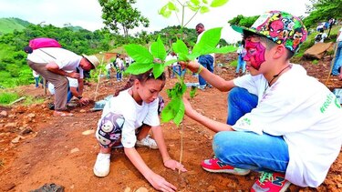 Voluntarios reforestan 100 hectáreas en el país