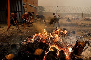 ‘Es el peor incendio de la historia de Madrid’: los fuegos sin control que han obligado a evacuar a decenas de miles de personas en el centro de España