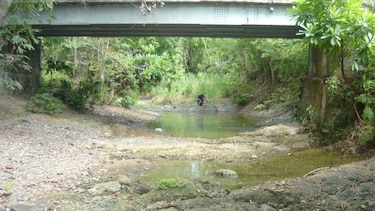 Toleta, el río más seco de la península de Azuero