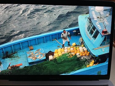 Detectan embarcación colombiana en aguas de la isla de  Coiba con aletas de tiburón