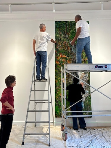 La selva del Darién llega a París: Panamá inaugura impactante exposición