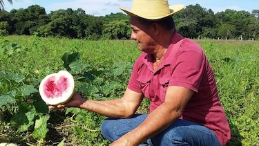 Confirman afectaciones por lluvias irregulares en varias áreas de Azuero