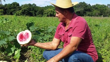 Confirman afectaciones por lluvias irregulares en varias áreas de Azuero