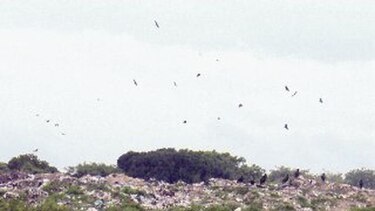 Penonomeños analizan tratamiento de la basura