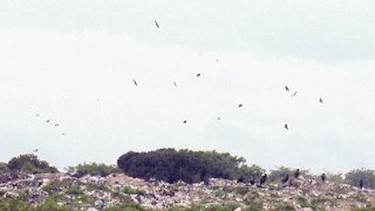 Penonomeños analizan tratamiento de la basura