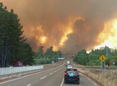 Reportan siete muertos en incendios forestales en Chile