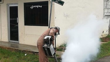 Minsa reporta 3 mil 677 casos de dengue y 3 defunciones