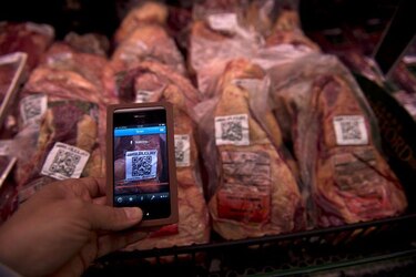 La multimillonaria estafa de las ‘vacas virtuales’ que sacude a Uruguay, uno de los países más ganaderos del mundo