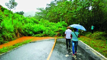 Lluvias dejan muerte y desolación