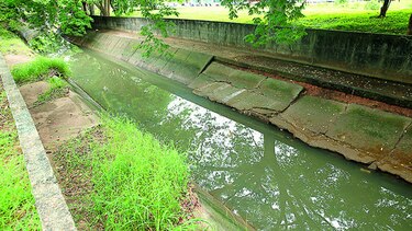 Denuncian posible contaminación