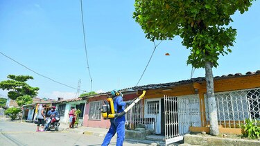 Colombia registra 20 mil casos de zika
