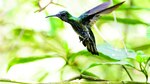 Turismo al natural