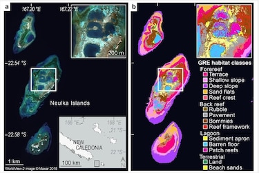 Mapas de satélite permiten evaluar la biodiversidad en arrecifes