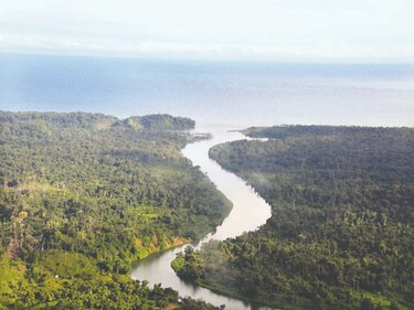 Obra amenaza área ecológica