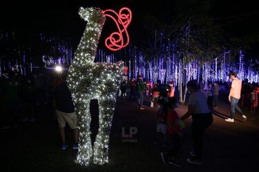 El corregimiento de Don Bosco enciende sus luces navideñas