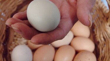 La minería y los huevos de oro