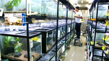 Abren nuevo refugio para la conservación de anfibios