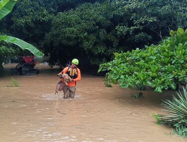 Huracán Melissa: declaran alerta amarilla en varias regiones de Panamá por lluvias persistentes