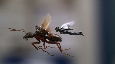 'Ant-Man and the Wasp' lidera taquillas en Estados Unidos y Canadá