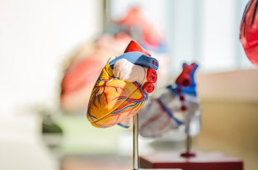 Cómo sobrellevar las cardiopatías congénitas