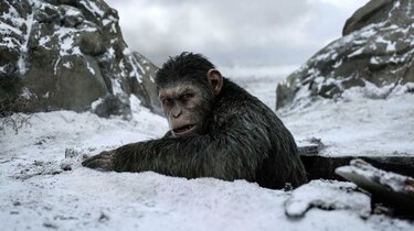 Los efectos visuales ganan la guerra en el Planeta de los Simios
