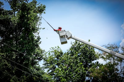 Trabajos de mantenimiento en la red eléctrica del 13 al 19 de abril de 2026