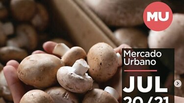 Domingo de Mercado Urbano