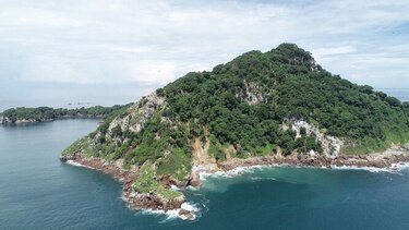 Negocios con una isla que es refugio natural