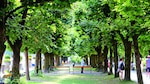 Salzburgo, la pequeña ciudad que todo lo tiene