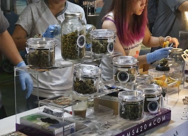 El Congreso de México aprueba uso medicinal de la marihuana