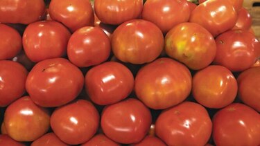 Inspección de EU a tomates entorpece acuerdo