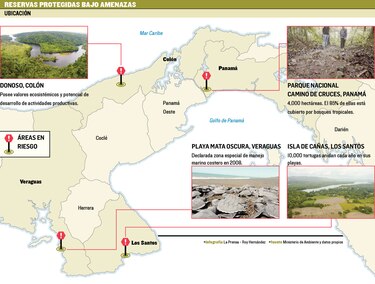 Miambiente, en la mira por ‘inacción’
