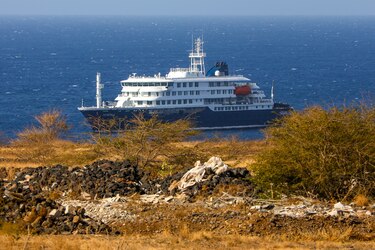 La OMS cree que la infección con hantavirus se produjo fuera del crucero