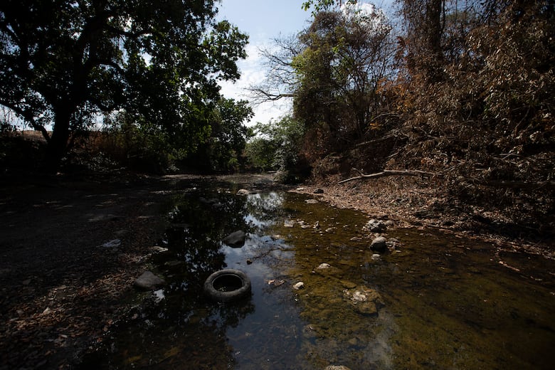 Cuenca media y baja del río Estibaná, en Los Santos, presenta niveles alarmantes de contaminación