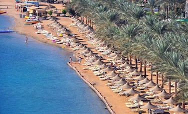 Mueren dos turistas ucranianas en un ataque con cuchillo en Egipto