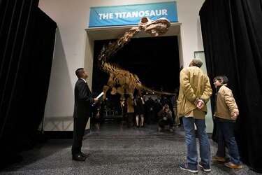 El Patagotitán, el más grande de todos los dinosaurios