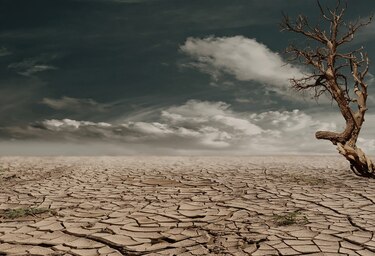 La próxima sequía de El Niño no debería sorprendernos