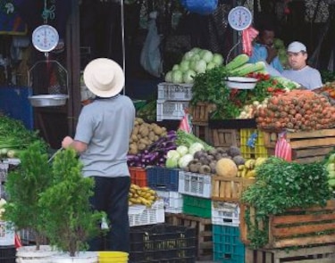 El camino abandonado: la ceguera voluntaria del estatismo
