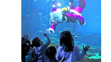 Papá Noel alimenta los peces