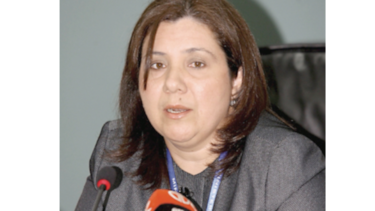 Un amparo para salvar el caso FCC