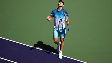 Thiem vence a Raonic y jugará contra Federer