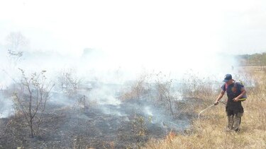 Reportan incremento de cifra de incendios en Los Santos