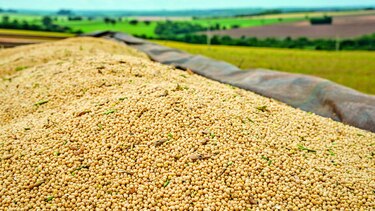 Piden añadir más valor a producción
