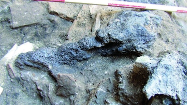 Una mini-Pompeya en Roma